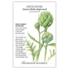 Artichoke Seeds made by Botanical Interests here at Twin Oaks Nursery & Supply