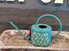 Decretive Metal Indoor Watering Can