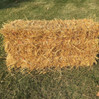 Straw Bales made by here at Twin Oaks Nursery & Supply