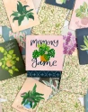 Memory Game made by 1canoe2 here at Twin Oaks Nursery & Supply