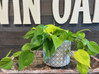 Basket Weave Terra Cotta Planter made by Blue Sky Clayworks here at Twin Oaks Nursery & Supply