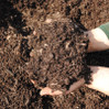 Mulch - Brown - 2 cuft (60p) made by Jemasco here at Twin Oaks Nursery & Supply