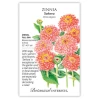 Zinnia Seeds