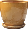 Halo Egg Pot w/ Saucer - Saffron Dust