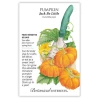 Pumpkin Seeds