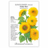 Sunflower Seeds