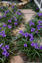  Vend Uncategorized Twin Oaks Nursery & Supply
