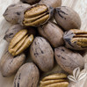 Pecan made by here at Twin Oaks Nursery & Supply