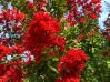  OUTDOORS Twin Oaks Nursery & Supply