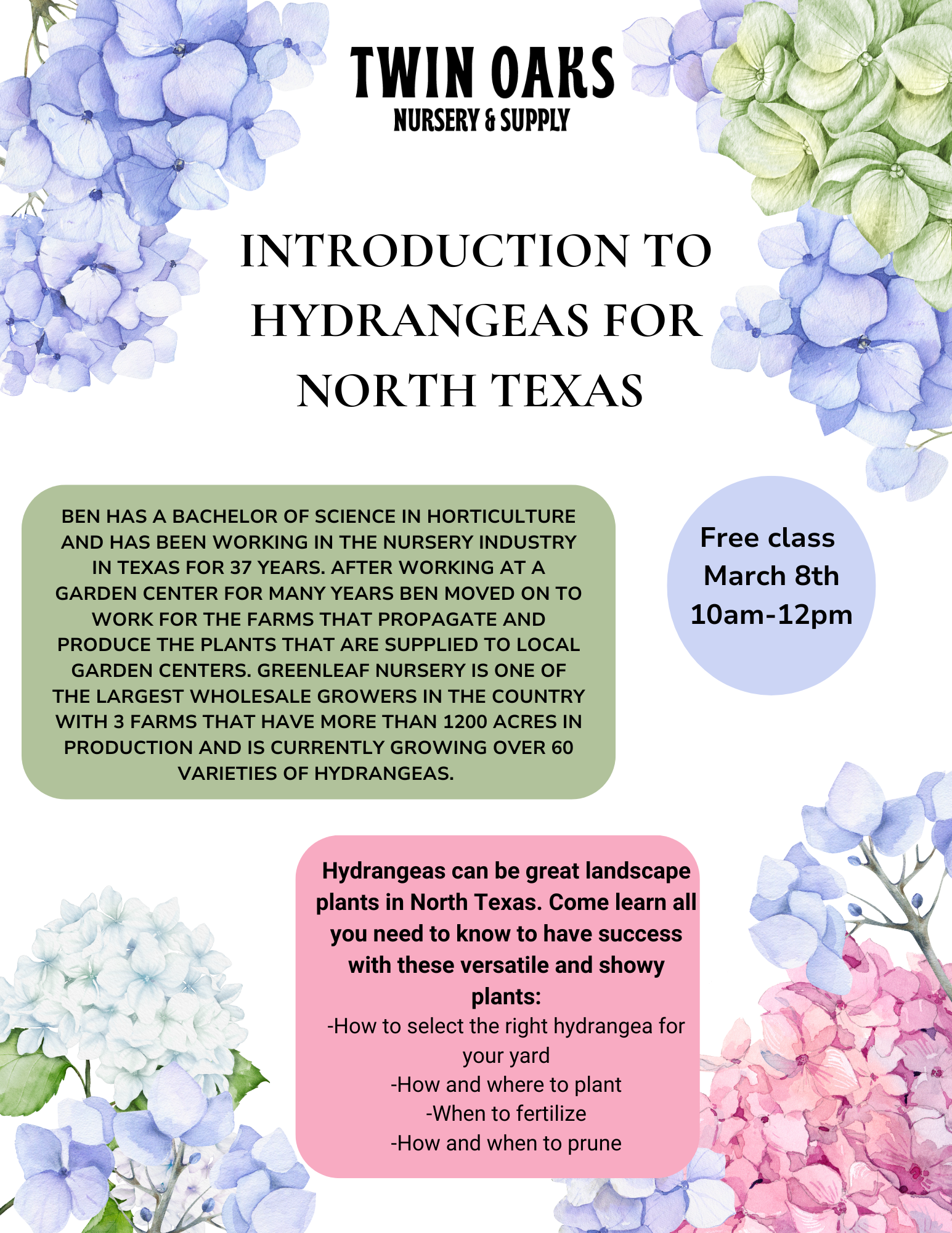 introduction-to-hydrangeas-for-north-texas.png
