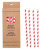 Life Without Waste Paper Straws (24-pack)