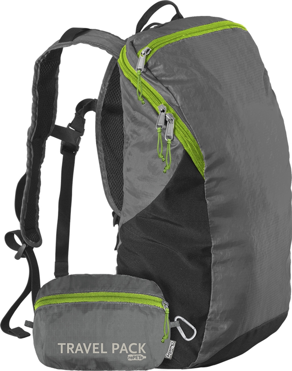 ChicoBag Travel Pack Backpack - Compact, Comfortable, Lightweight, Machine  Washable