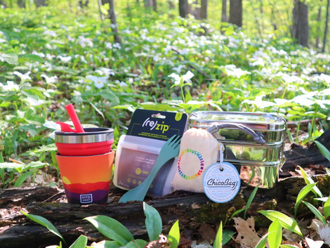 5 Simple Sustainable Swaps to Reduce Plastic Pollution