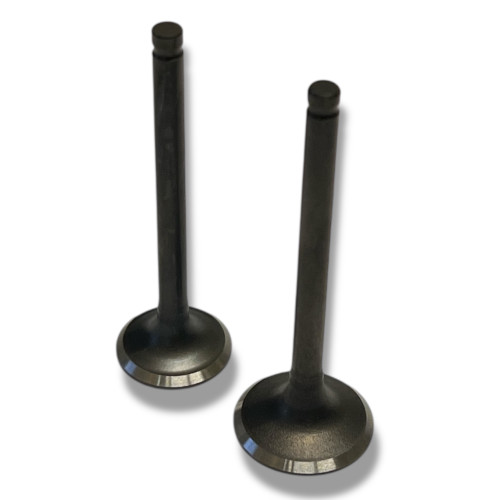Pit Bike Intake & Exhaust Valves (20mm + 23mm)
