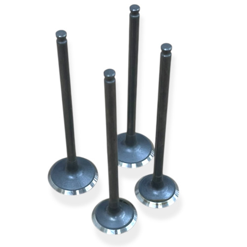 Daytona Anima 150cc Pit Bike 4 Valves Set