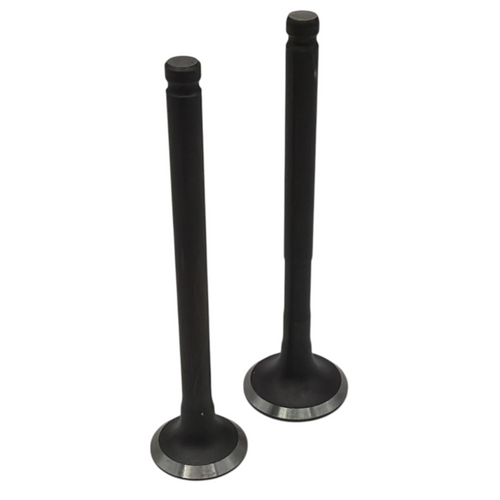 50cc Pit Bike Valves (16mm + 19mm)