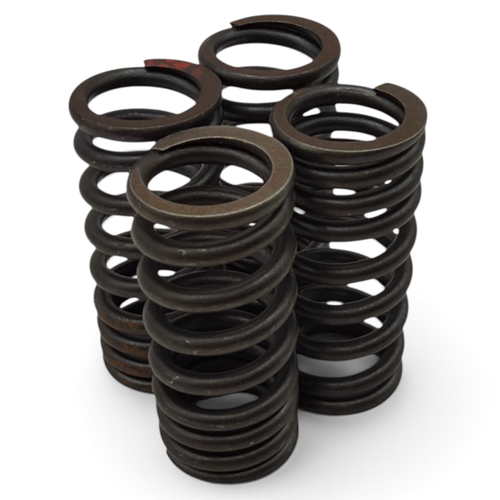 Daytona Anima 190cc Pit Bike Valve Springs
