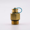 Pete's Plug #750 Brass Test Plug, 3/4"-16 NFT, 1.5" Length, Neoprene Core with Buna-N O-Ring main view