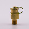 Pete's Plug #12510 Brass Test Plug, 1/8" NPT, 1.25" Length, Nordel Core main view