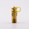 Pete's Plug #110BSP Brass Test Plug, 1/4" BSP, 1.5" Length, Nordel Core main view