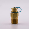 Pete's Plug #300 Brass Test Plug, 3/8" NPT, 1.5" Length, Neoprene Core main view
