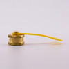 Pete's Plug #1041YS Cap Assembly, Brass, Nordel Gasket, Yellow Strap main view