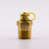 Pete's Plug #710 Brass Test Plug, 1/2" NPT, 1.5" Length, Nordel Core main view