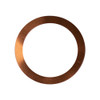 DISCONTINUED Appion Compressor Shim Spacer .10 Mil