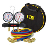 Manifolds and Gauges