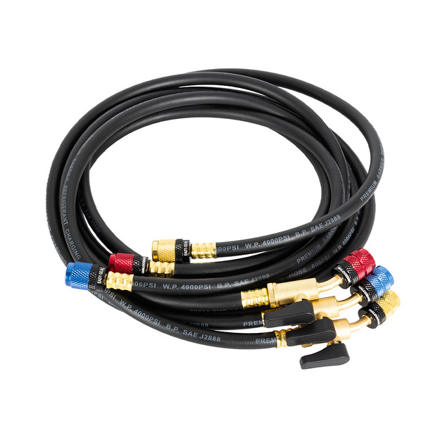 MalcoEdge ESBV6014516 Easy Seal Ball Valve Hose Set, 60 inch main