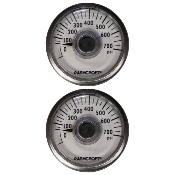 Appion KTGA00 2-Pack of GA0700 (0-700 PSI) Gauges