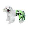 Pattaya Dog Swim Trunk or Board Shorts