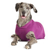 Gold Paw Stretch Fleece - Eggplant