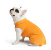 Gold Paw Stretch Fleece - Pumpkin