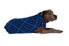 Gold Paw Stretch Fleece - Blue Plaid