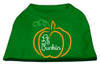 Lil Punkin Screen Print Dog Shirt - Green