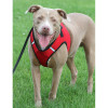 Worthy Dog Step-in Sidekick Dog Harness - Orange