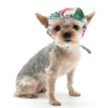 Tropical Island Pet Dog Visor / Hat