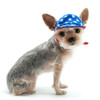 Star Patriotic Pet Dog Visor / Hat