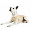 Sun Shield Pet Dog Tee - Sand