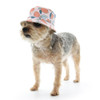 Dogo Pet Lemonade Bucket Pet Dog Hat - Pink