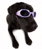 Lilac Pet Dog Doggles Sunglasses ILS with Flowers and Purple Lens