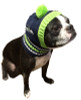 NFL Seattle Seahawks Dog Knit Ski Hat