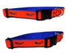 Fishbones Orange & Blue 1/2, 3/4 & 1.25 inch Dog & Cat Collar, Harness