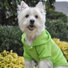 Sport Dog Hoodie - Green Flash - Tiny - Big Dog Sizes