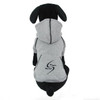 Back of Sporty Hooded Dog Sweatshirts