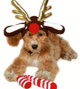 Reindeer Antlers Dog Hat