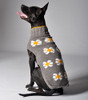 Daisies Knit Dog Sweaters