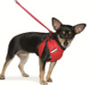 EasyGO Flash Dog Harness