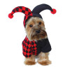 Jester Pet Dog Costume